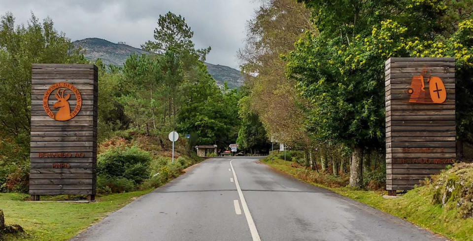 Parque Peneda Gerês inicia campanha nacional de reflorestação de áreas ardidas