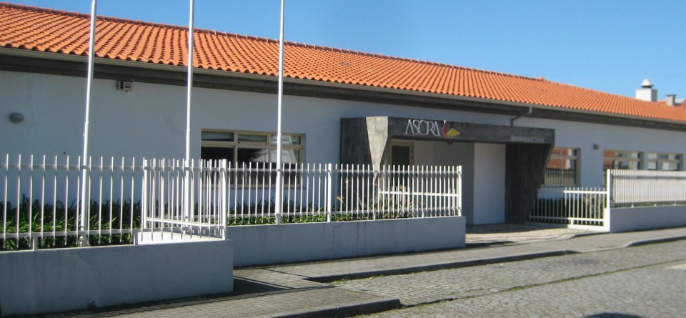 Tribunal de Braga absolve três ex-dirigentes de IPSS da Apúlia condena assessor
