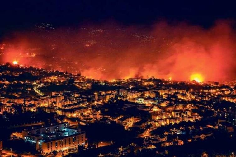 INCÊNDIOS: Governo “assume todas as responsabilidades”