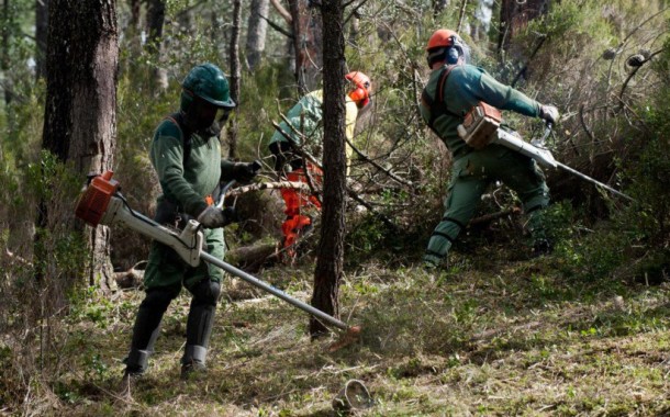 GNR começa esta segunda-feira a fiscalizar limpeza dos terrenos florestais