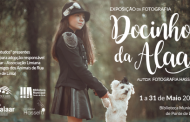 Ponte de Lima acolhe exposição de fotografia de Michele Hasselti (1 a 31 Maio)