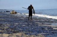 Portugueses e australianos criaram ‘esponja’ que limpa petróleo dos oceanos