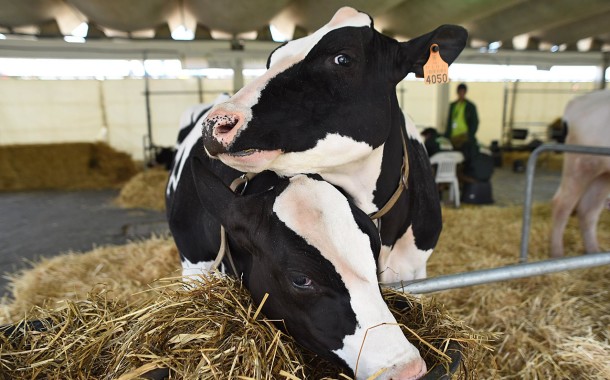 Capoulas Santos considera Agro “uma mais-valia” para afirmação do sector da agropecuária