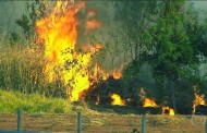 GNR deteve três pessoas por incêndios florestal em 48 horas