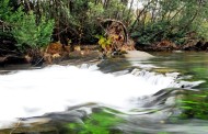 Praia fluvial do Cavadinho, em Braga, distinguida com ‘Qualidade Ouro’ pela Quercus