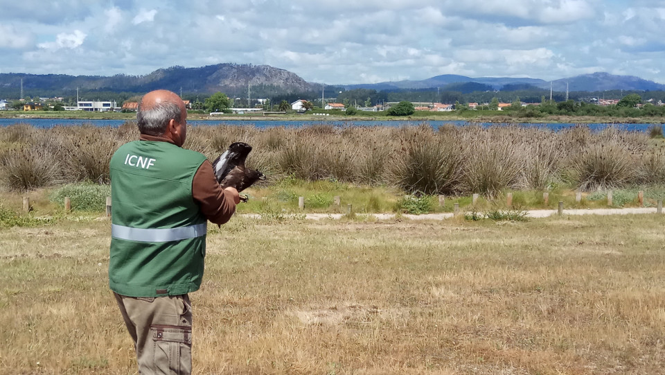 Feira da Natureza decorre nos dias 2 e 3 de Junho na Zona Ribeirinha de Esposende