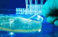 Universidade do Minho recebe sede europeia para a investigação microbiana