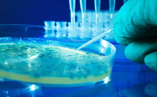 Universidade do Minho recebe sede europeia para a investigação microbiana