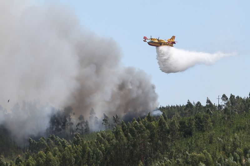 INCÊNDIOS: Cinquenta meios aéreos contratados, anuncia Governo