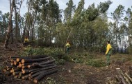 GNR pode aplicar coimas por falta de limpeza de terrenos a partir de sexta-feira