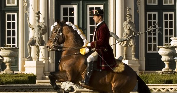 Escola Portuguesa de Arte Equestre dá espectáculo esta quinta-feira na Feira do Cavalo de Ponte de Lima