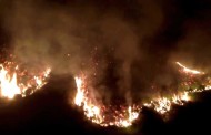 Incêndio florestal no Reino Unido obriga à evacuação de mais de 50 casas