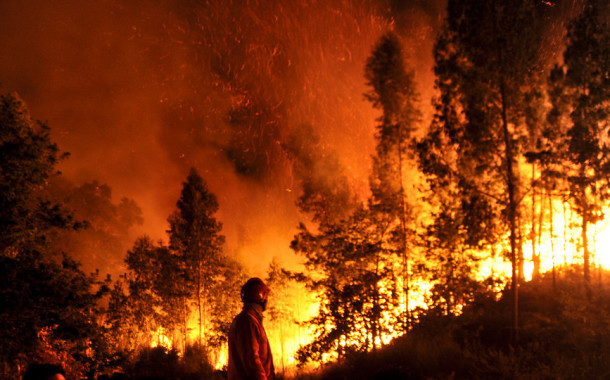 INCÊNDIOS FLORESTAIS: Contraordenações por comportamentos de risco na floresta quadruplicaram