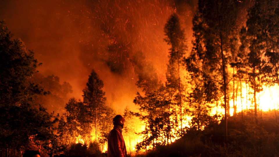 INCÊNDIOS FLORESTAIS: Contraordenações por comportamentos de risco na floresta quadruplicaram