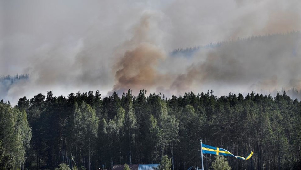 Suécia pede ajuda à União Europeia para combater dezenas de fogos florestais