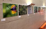 ‘Vila Verde para além do Verde’ em exposição na Videoteca de Braga (até 30 JUL)