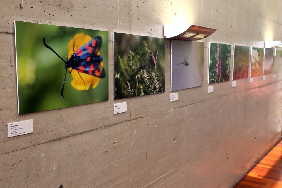 ‘Vila Verde para além do Verde’ em exposição na Videoteca de Braga (até 30 JUL)