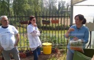 VILA VERDE: Horta biológica da EB de Moure e Ribeira do Neiva ganha primeiro prémio nacional