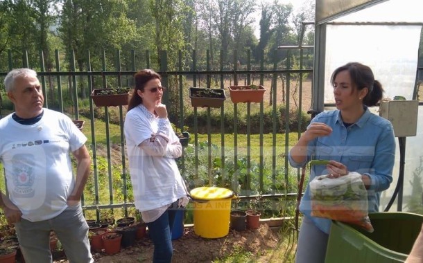 VILA VERDE: Horta biológica da EB de Moure e Ribeira do Neiva ganha primeiro prémio nacional