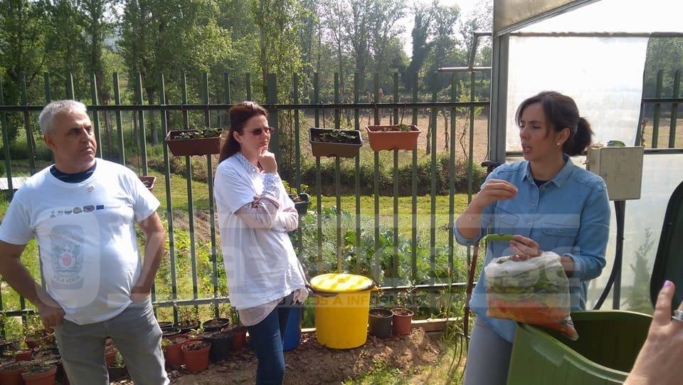 VILA VERDE: Horta biológica da EB de Moure e Ribeira do Neiva ganha primeiro prémio nacional