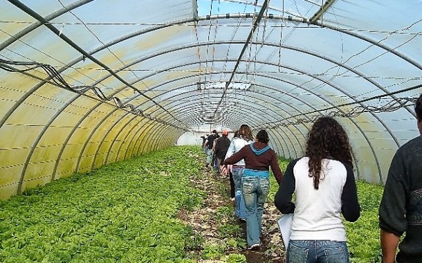 Câmara de Esposende isenta empresas do sector agrícola de taxas e licenças
