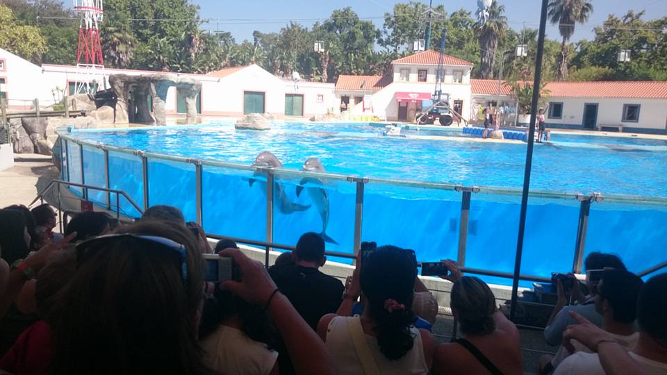 Crianças e jovens de Braga partem à aventura com o programa de férias ‘Sol e Mar’