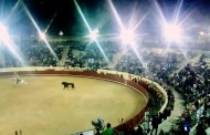 Manifestação antitourada marca este sábado a última corrida de touros na Póvoa de Varzim
