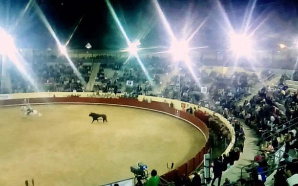 Manifestação antitourada marca este sábado a última corrida de touros na Póvoa de Varzim