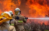 INCÊNDIOS FLORESTAIS: Governo decreta Situação de Alerta