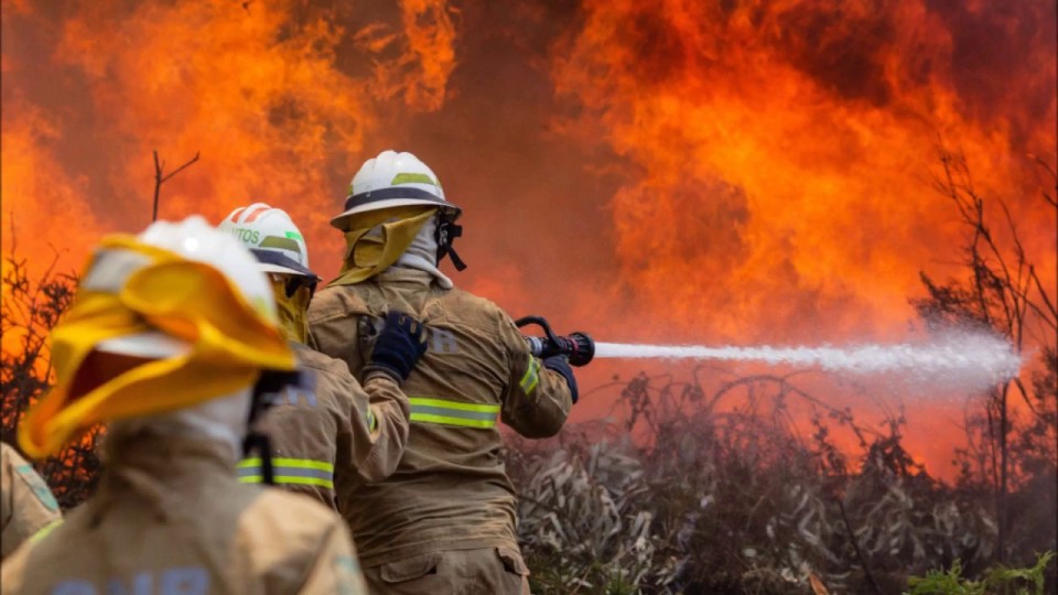 INCÊNDIOS FLORESTAIS: Governo decreta Situação de Alerta