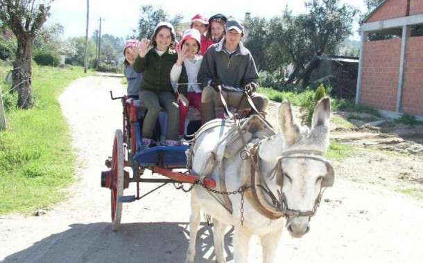 Braga para Todos e Braga Animal Save querem proibição de passeios turísticos de charrete promovidos pela autarquia