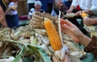 Festa das Colheitas em Amares é este fim-de-semana