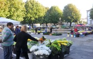 Mercado das Flores regressa esta terça-feira à Praça do Município
