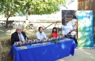 Câmara de Braga apresenta guia para detentores de animais domésticos