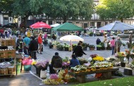 Inscrições para Mercado das Flores de Braga arrancam esta quarta-feira