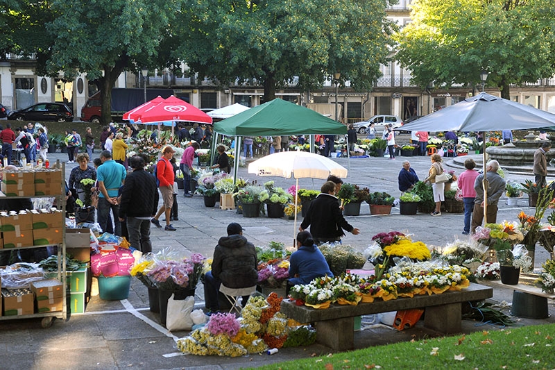 Inscrições para Mercado das Flores de Braga arrancam esta quarta-feira