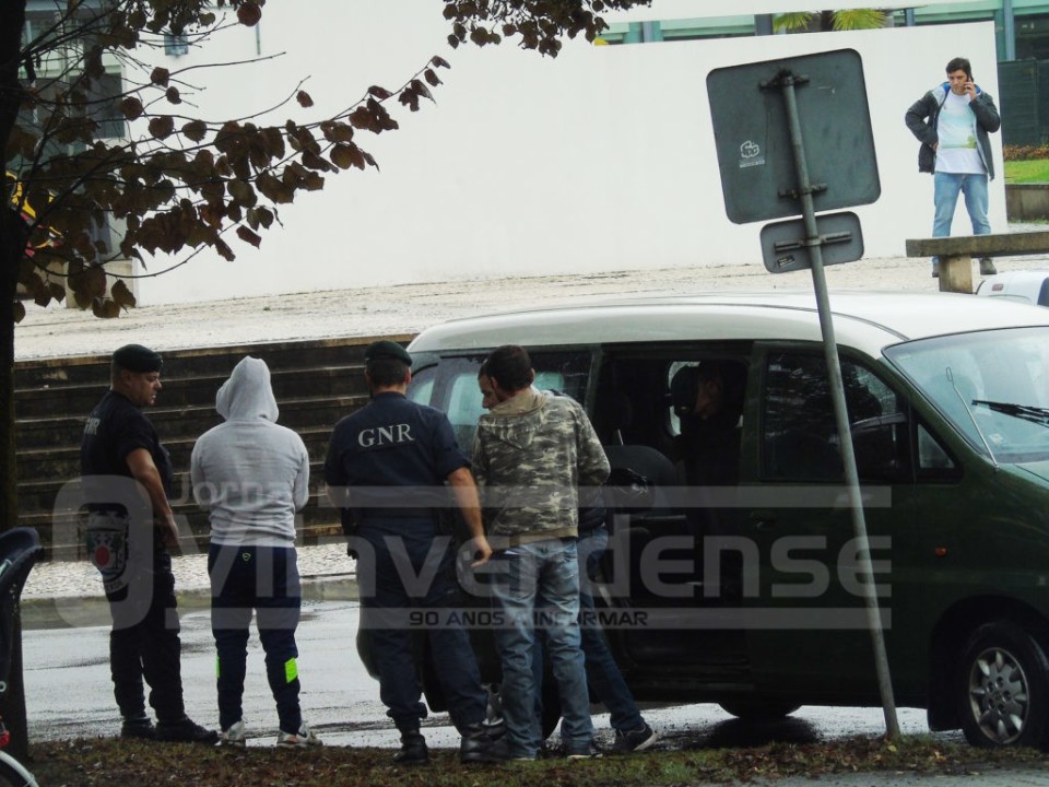 Quatro anos de prisão para dois homens que tinham estufa de cannabis na Ribeira do Neiva