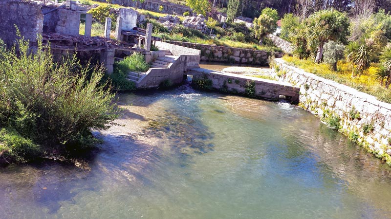 Braga recebe encontro de grupos do Projecto Rios com rio Este na agenda