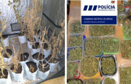 PSP de Braga deteve suspeito de tráfico com mais 10 mil doses de droga