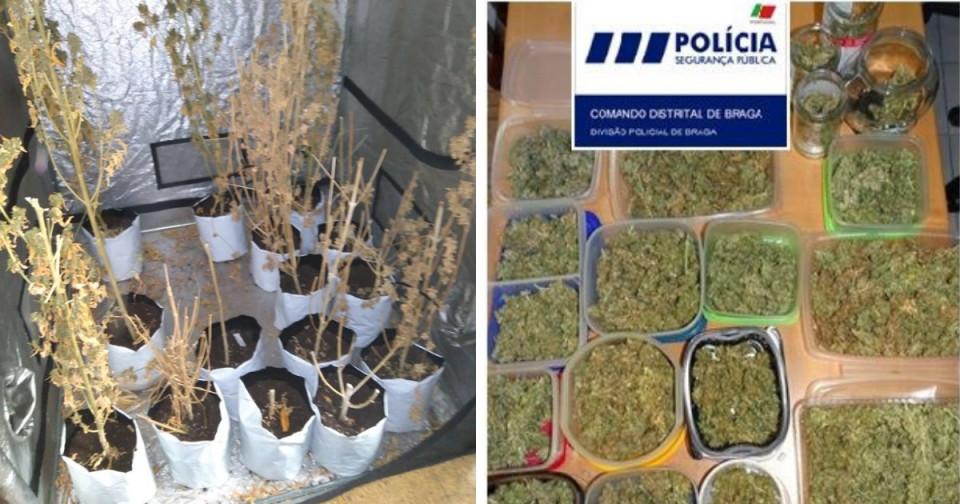 PSP de Braga deteve suspeito de tráfico com mais 10 mil doses de droga