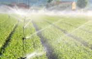 Investimento de 200 mil euros para reabilitar regadios de Vila Verde e Amares