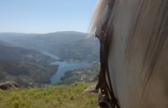 Amarense vence projecto para melhoria da mobilidade dos turistas no Gerês vence UP Cávado