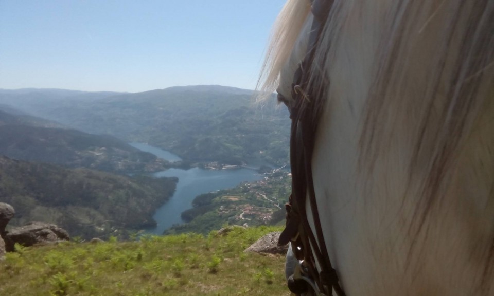 Amarense vence projecto para melhoria da mobilidade dos turistas no Gerês vence UP Cávado