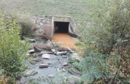 Rio Este: Braga para Todos acusa Ricardo Rio de “brincar” com o ambiente
