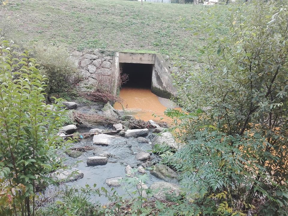 Rio Este: Braga para Todos acusa Ricardo Rio de “brincar” com o ambiente