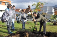 Câmara de Braga assinala Dia Mundial da Floresta Autóctone com avisos do vereador do Ambiente