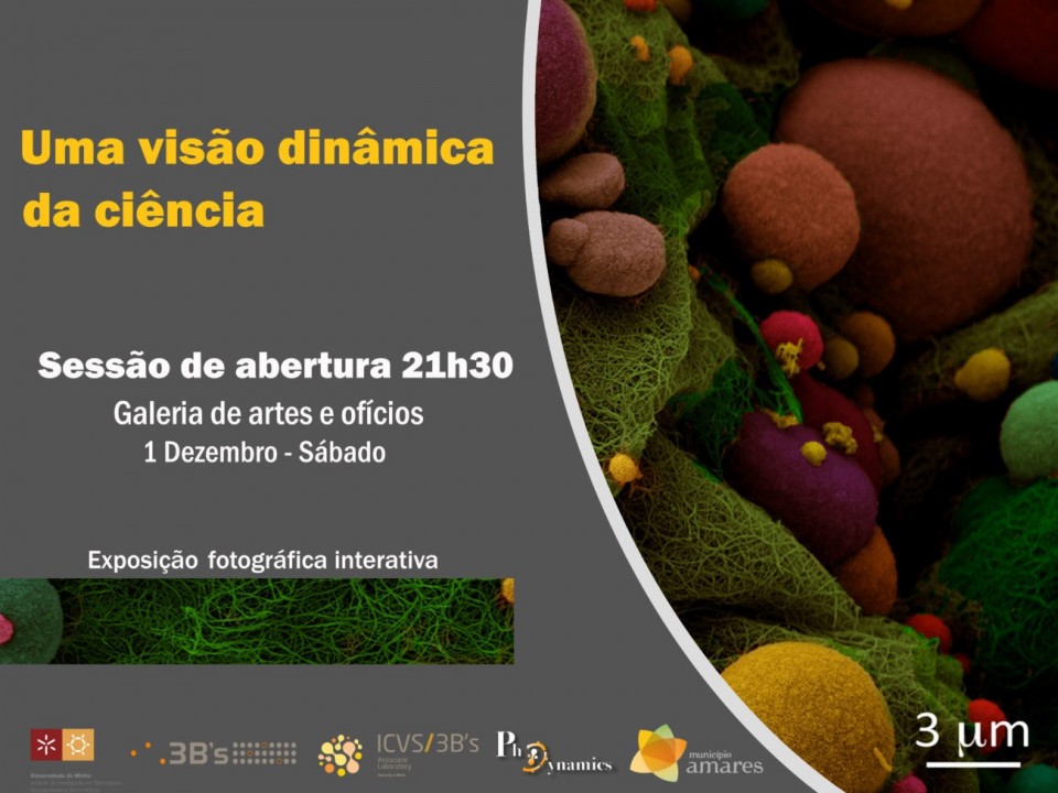 Câmara de Amares e UMinho inauguram este sábado primeira exposição interactiva de fotociência