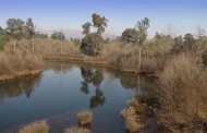 Ponte de Lima: Área Protegida das Lagoas de Bertiandos distinguida no Prémio Nacional da Paisagem 2018