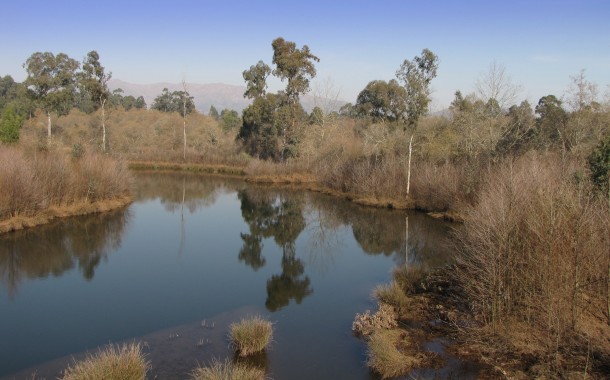 Ponte de Lima: Área Protegida das Lagoas de Bertiandos distinguida no Prémio Nacional da Paisagem 2018