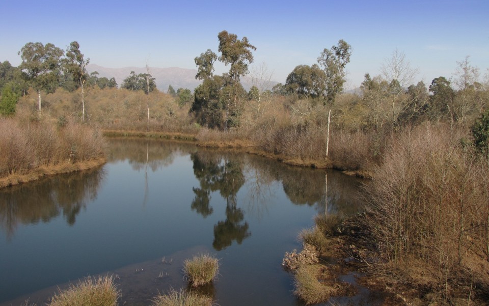 Ponte de Lima: Área Protegida das Lagoas de Bertiandos distinguida no Prémio Nacional da Paisagem 2018
